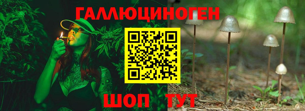 что такое наркотик  Вход с VPN  Тихорецк  Псилоцибиновые грибы прущие грибы 